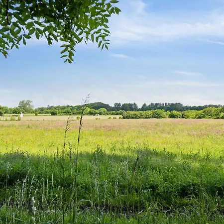 Beautiful Yellow Country By The Water Villa Millinge